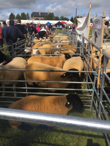 2017 Roscommon Agricultural Show